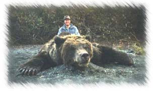 alaska brown bear hunting
