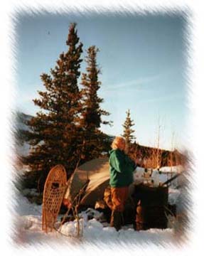 alaska hiking