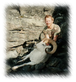 alaska dall sheep hunting