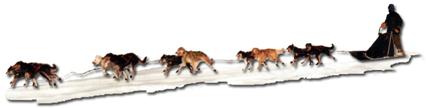 alaska dogsledding