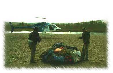 alaska film productions