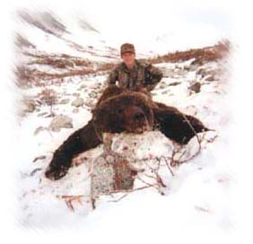 alaska grizzly bear hunting