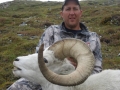 Dall Sheep August 2012 MF 018