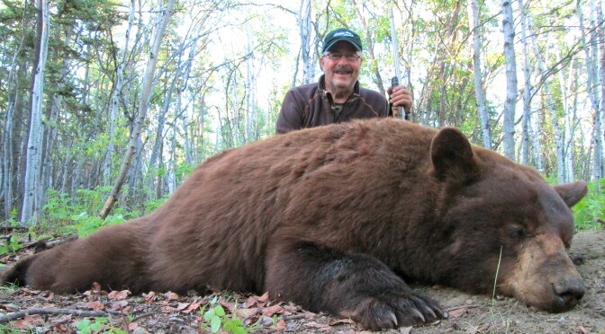 Black Bear Hunts