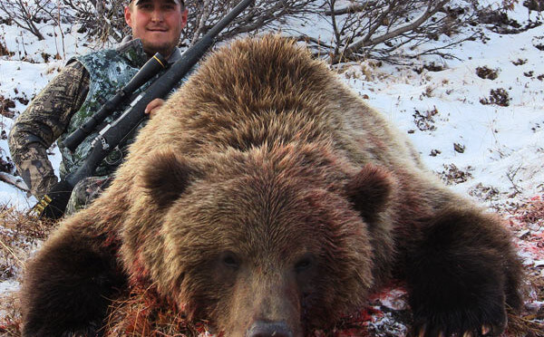 Grizzly Bear Hunting