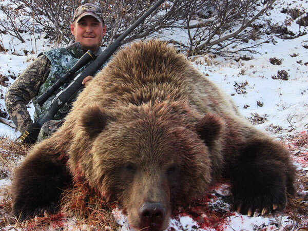 grizzly bear hunting