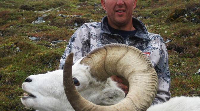Dall Sheep Hunts
