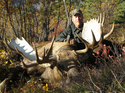 Moose hunting in Alaska