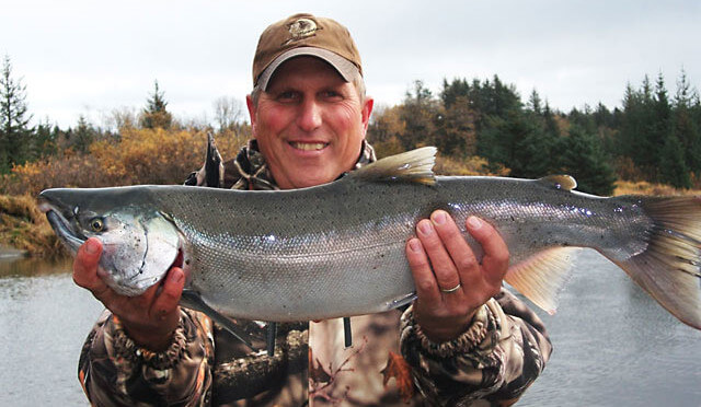 Silver Salmon