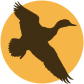 waterfowl hunting in Alaska