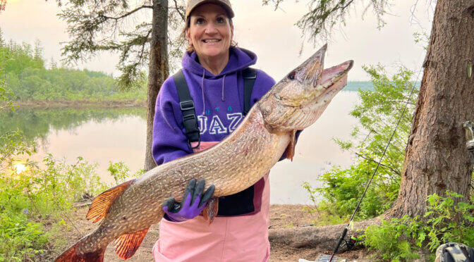 Northern Pike