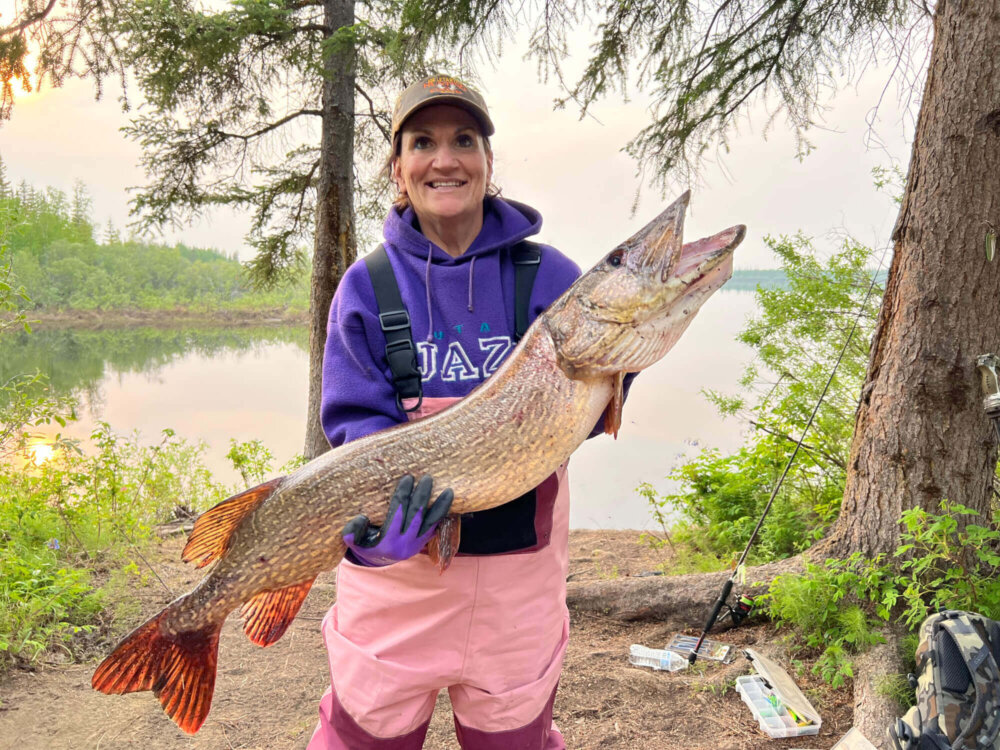 Northern Pike Fishing Fairbanks Alaska Wilderness Enterprises